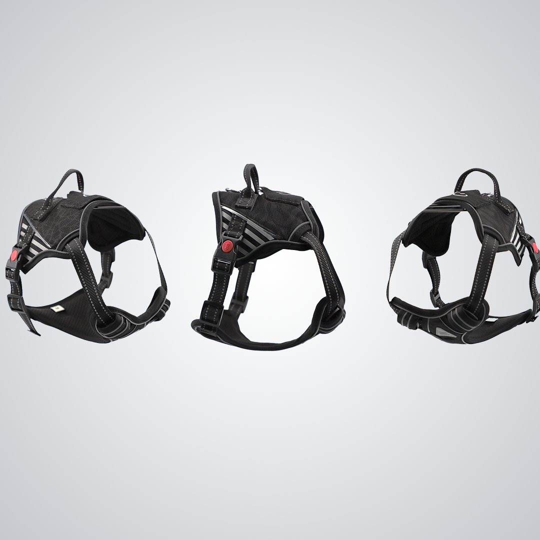 LED dog harness