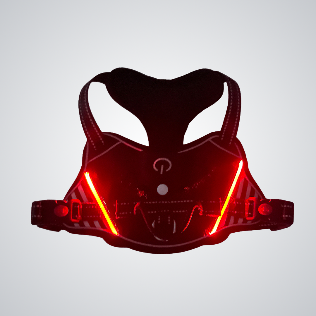 LED dog harness