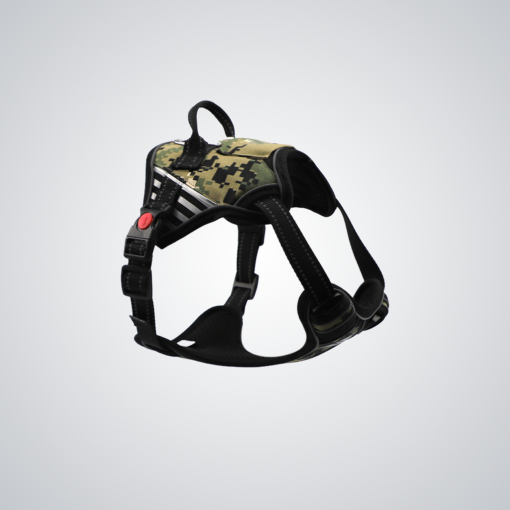 LED dog harness