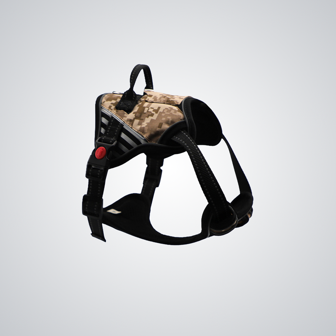 LED dog harness