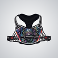 LED dog harness