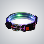 LED dog collar