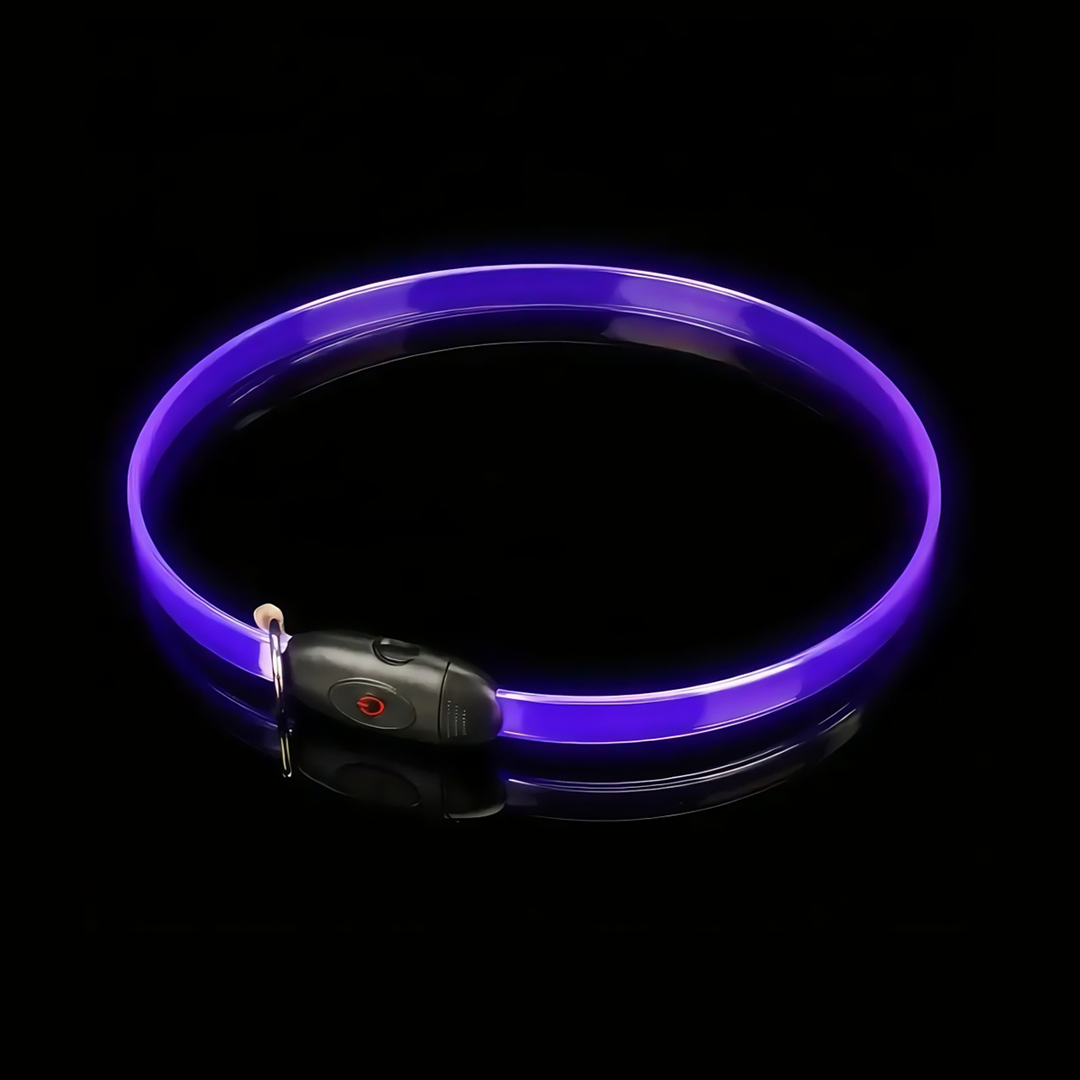 Gradient LED dog collar