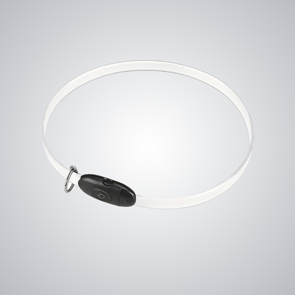 Gradient LED dog collar