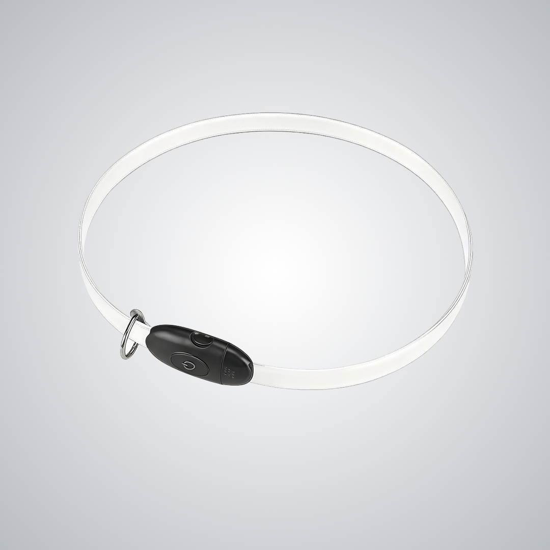Gradient LED dog collar