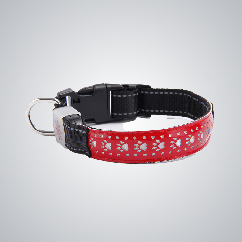 Hollow out LED dog collar