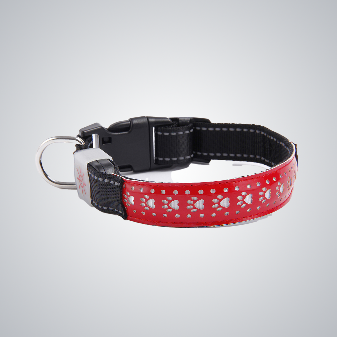 Hollow out LED dog collar