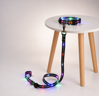 LED dog collar