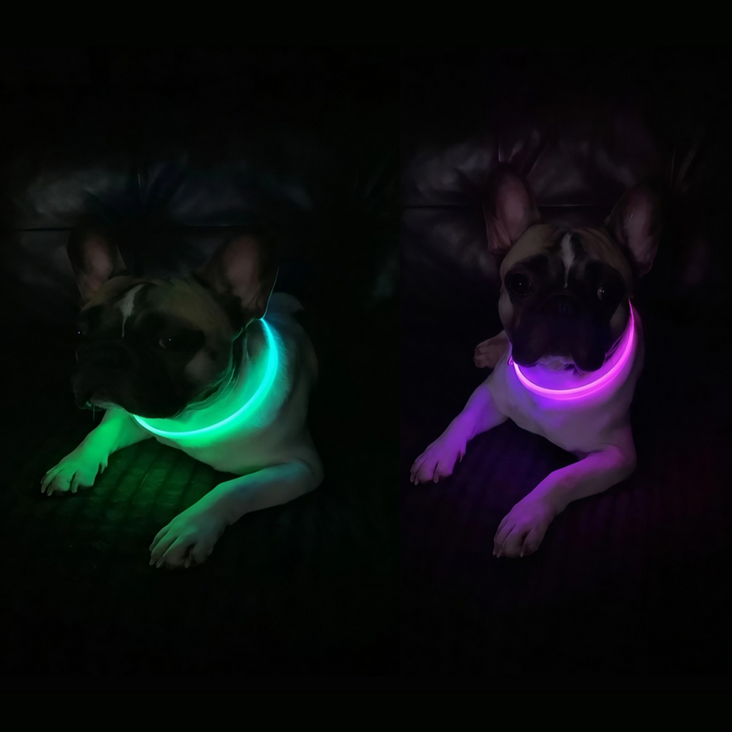 Gradient LED dog collar