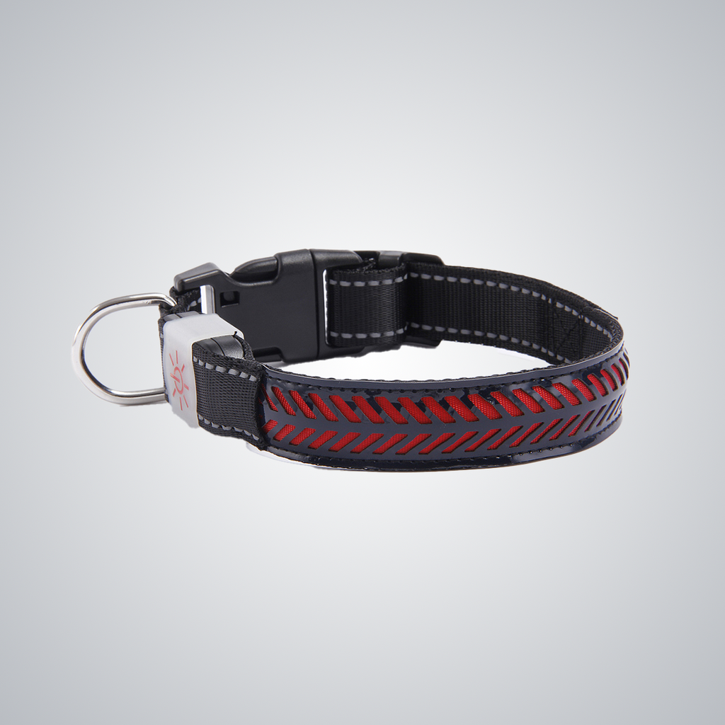 Hollow out LED dog collar