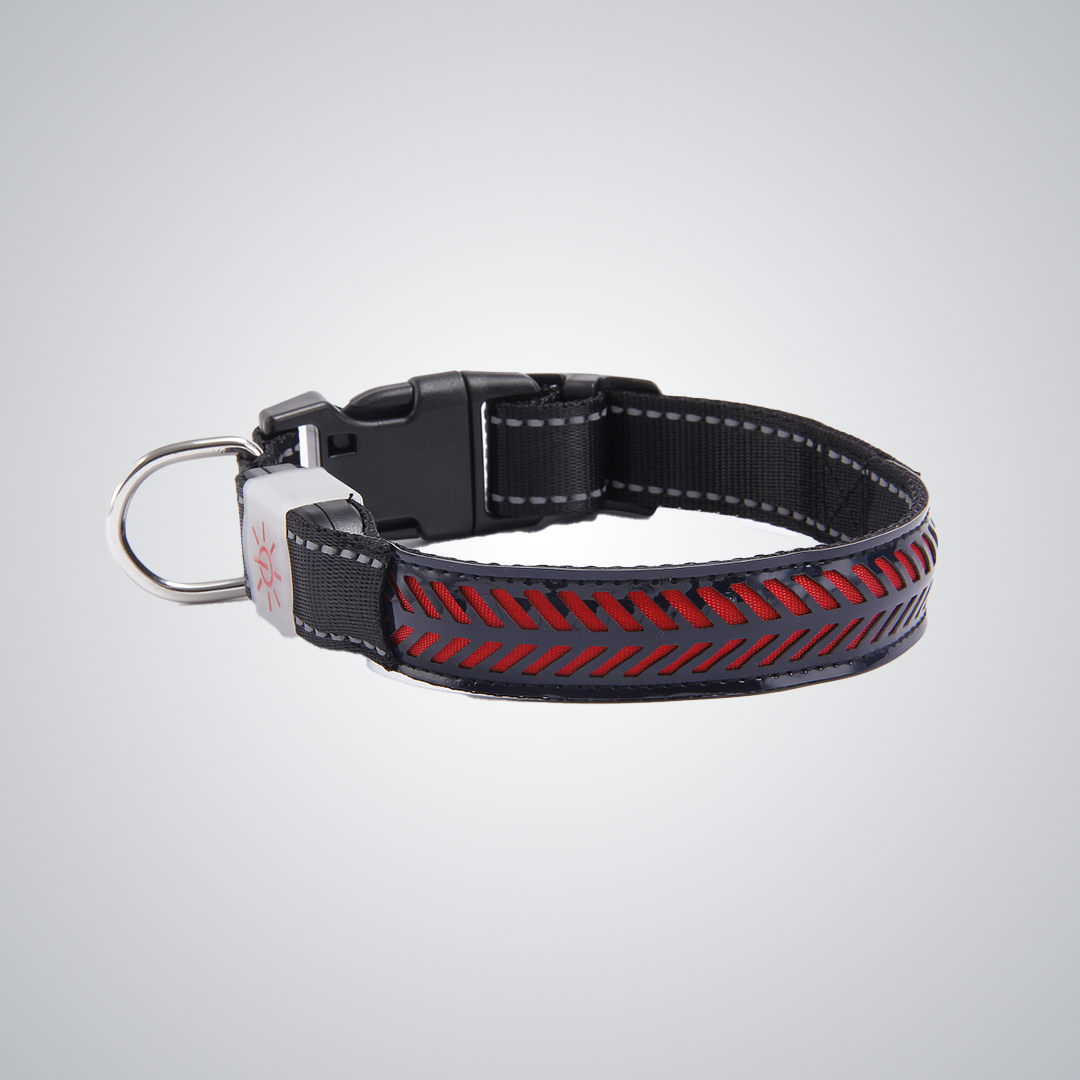 Hollow out LED dog collar
