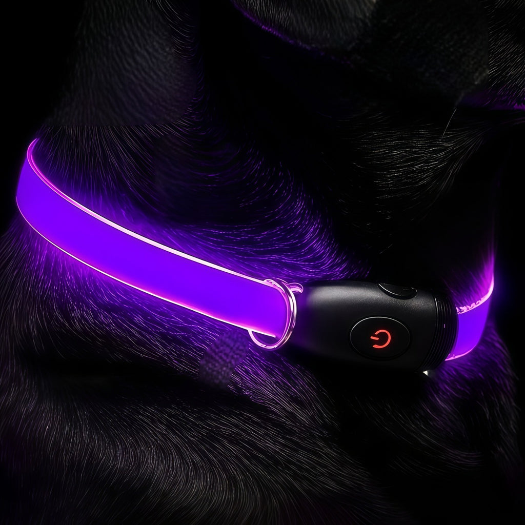 Gradient LED dog collar
