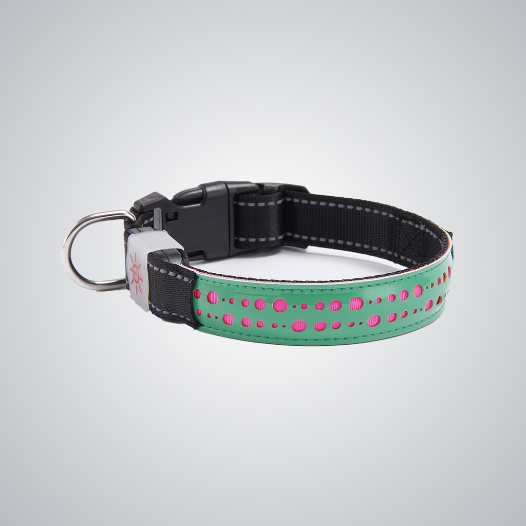 Hollow out LED dog collar