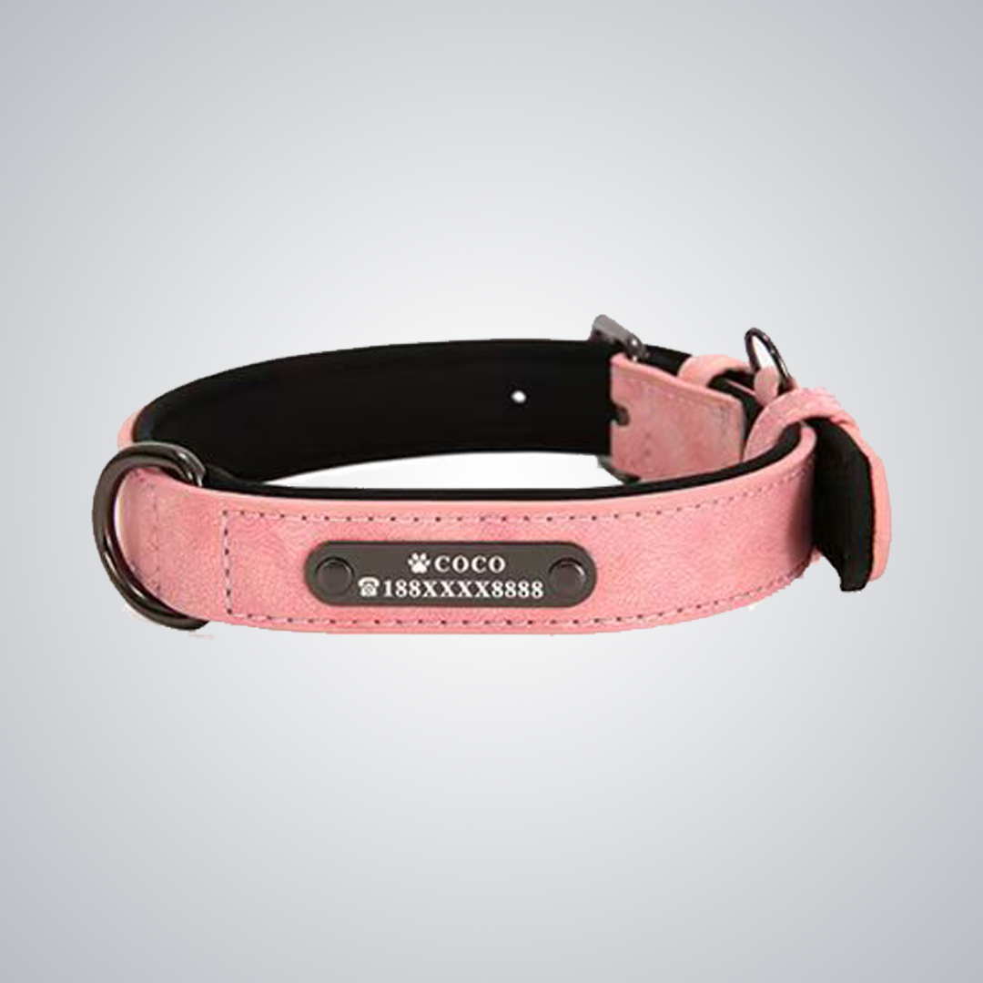 Custom reflective pet collars