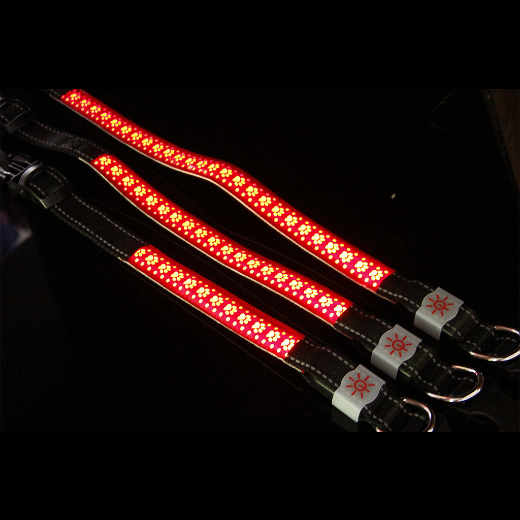 Hollow out LED dog collar