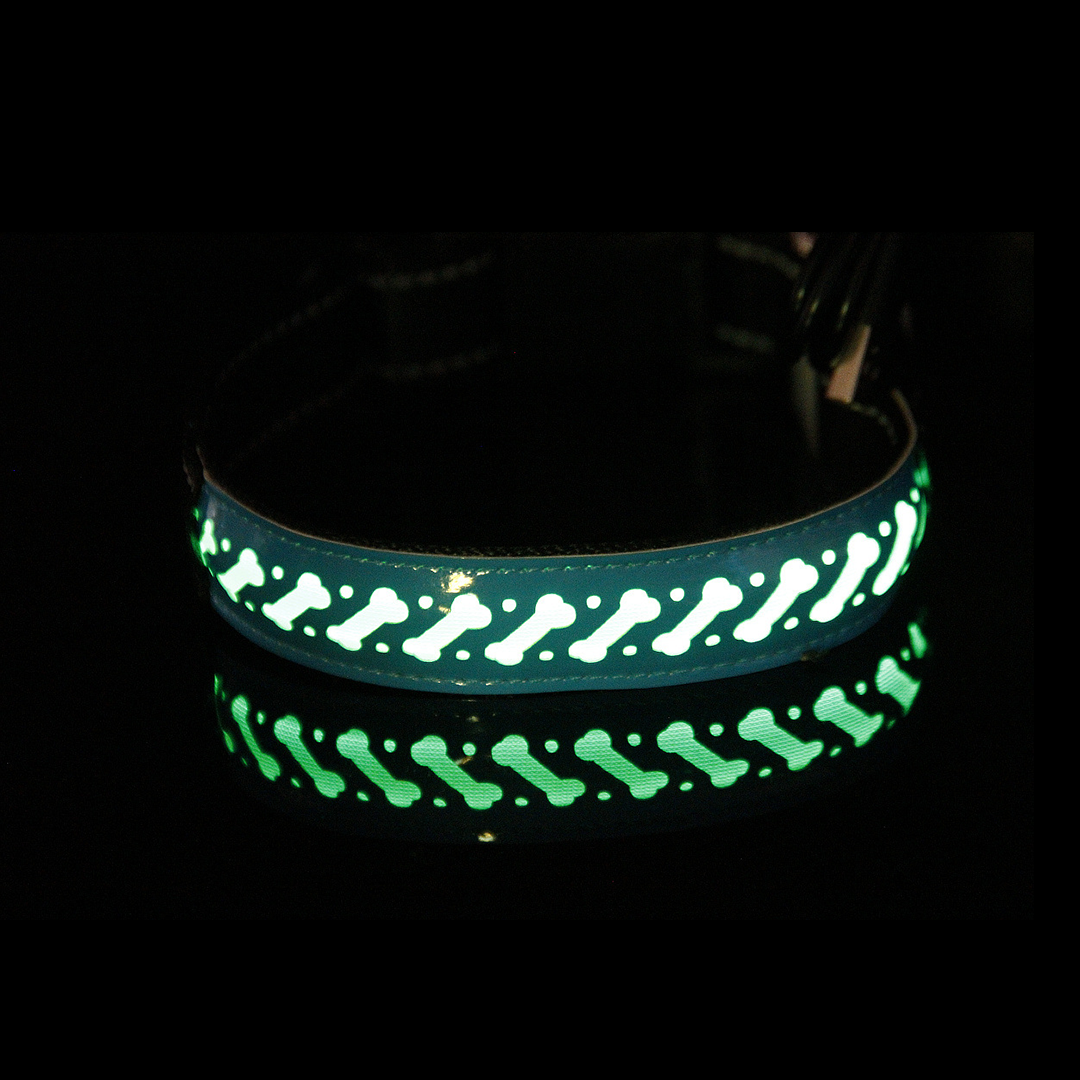 Hollow out LED dog collar