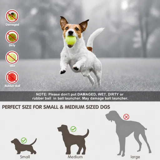 Pet pitching machine