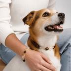 Citrine Crystal Leather Pet Collar with Matching Owner Bracelet - lumipup
