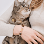 Citrine Crystal Leather Pet Collar with Matching Owner Bracelet - lumipup