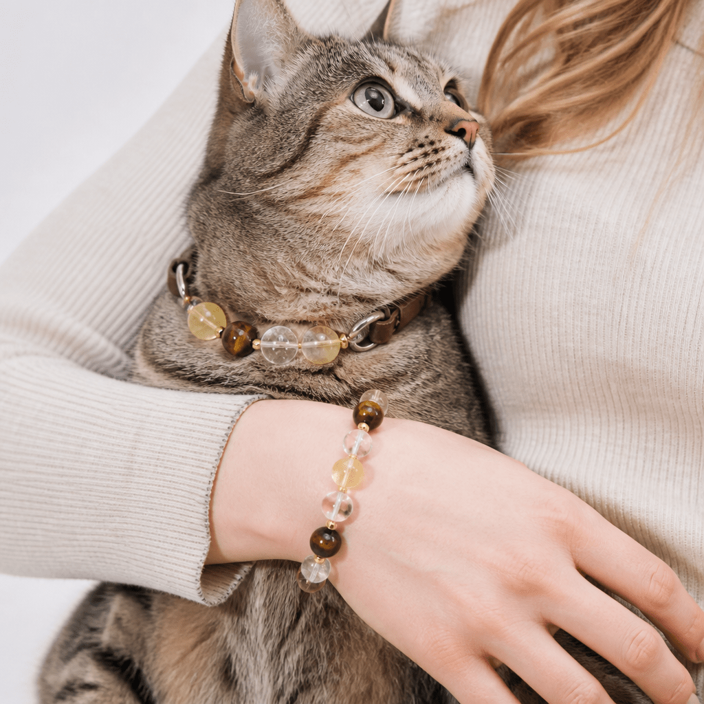 Citrine Crystal Leather Pet Collar with Matching Owner Bracelet - lumipup