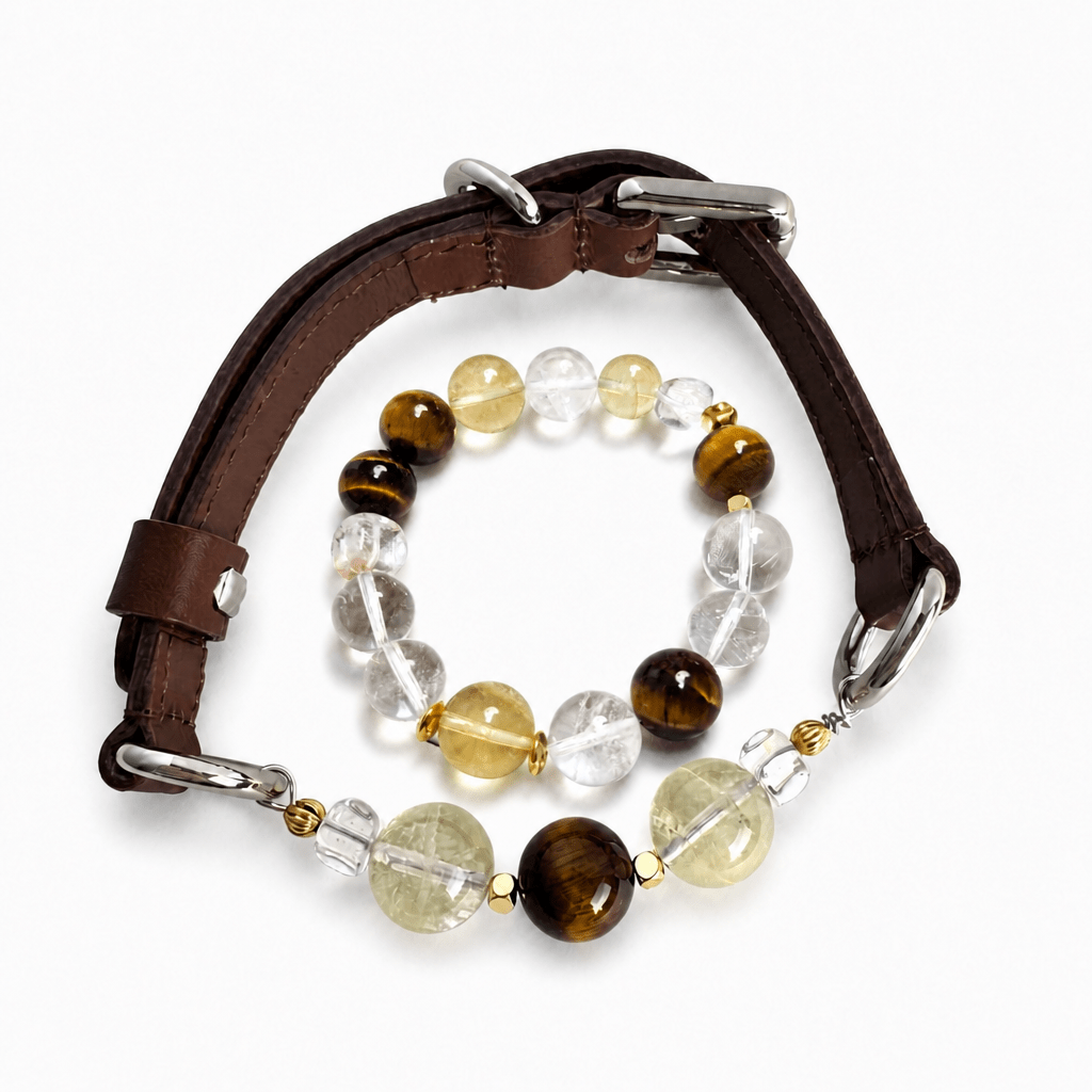Citrine Crystal Leather Pet Collar with Matching Owner Bracelet - lumipup