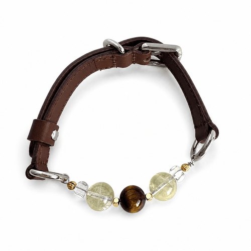 Citrine Crystal Leather Pet Collar with Matching Owner Bracelet - lumipup