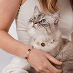 Citrine Crystal Leather Pet Collar with Matching Owner Bracelet - lumipup