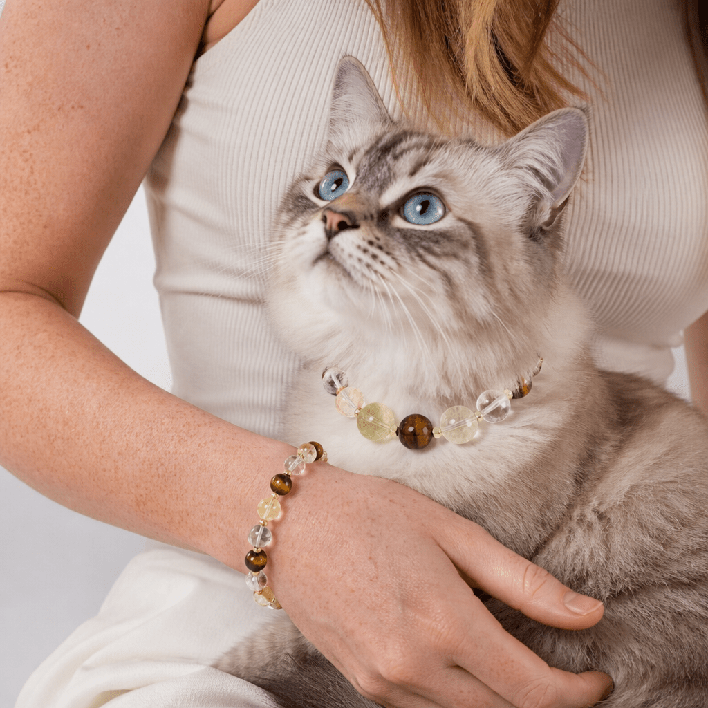 Citrine Crystal Leather Pet Collar with Matching Owner Bracelet - lumipup