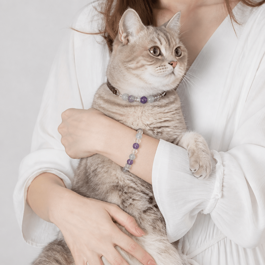 Crystal & Genuine Leather Pet Collar with Matching Owner Bracelet - lumipup