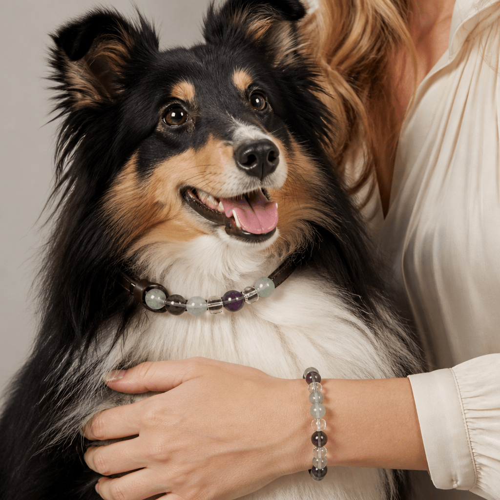 Crystal & Genuine Leather Pet Collar with Matching Owner Bracelet - lumipup