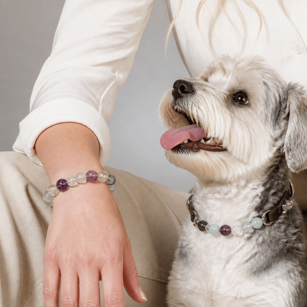 Crystal & Genuine Leather Pet Collar with Matching Owner Bracelet - lumipup