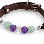 Crystal & Genuine Leather Pet Collar with Matching Owner Bracelet - lumipup