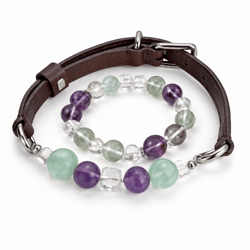 Crystal & Genuine Leather Pet Collar with Matching Owner Bracelet - lumipup