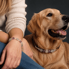 Crystal & Genuine Leather Pet Collar with Matching Owner Bracelet - lumipup