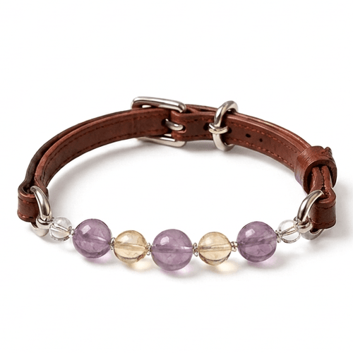 CrystalBond™ Matching Pet & Owner Bracelet Set - lumipup