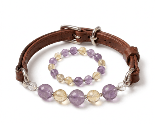 CrystalBond™ Matching Pet & Owner Bracelet Set - lumipup