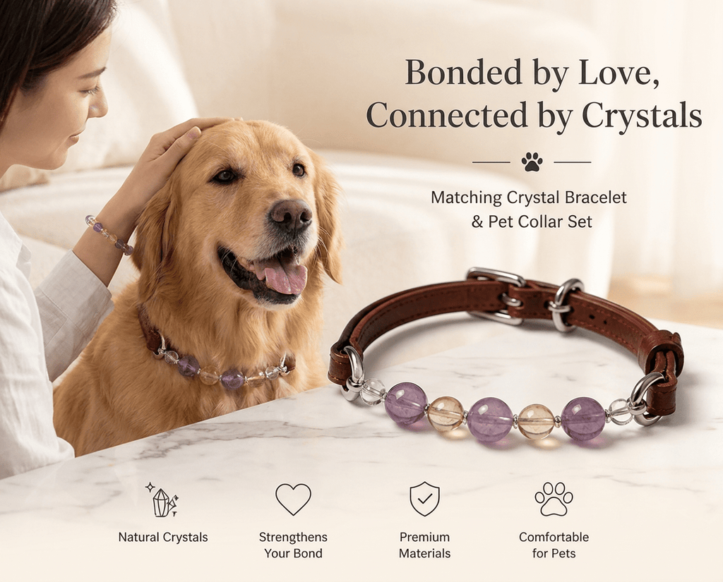 CrystalBond™ Matching Pet & Owner Bracelet Set - lumipup