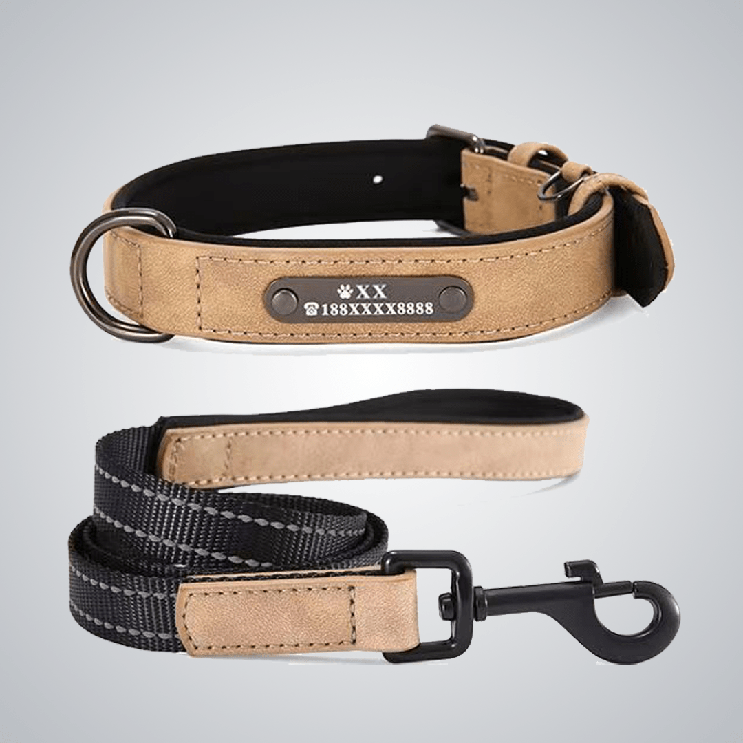 Custom reflective pet collars - lumipup