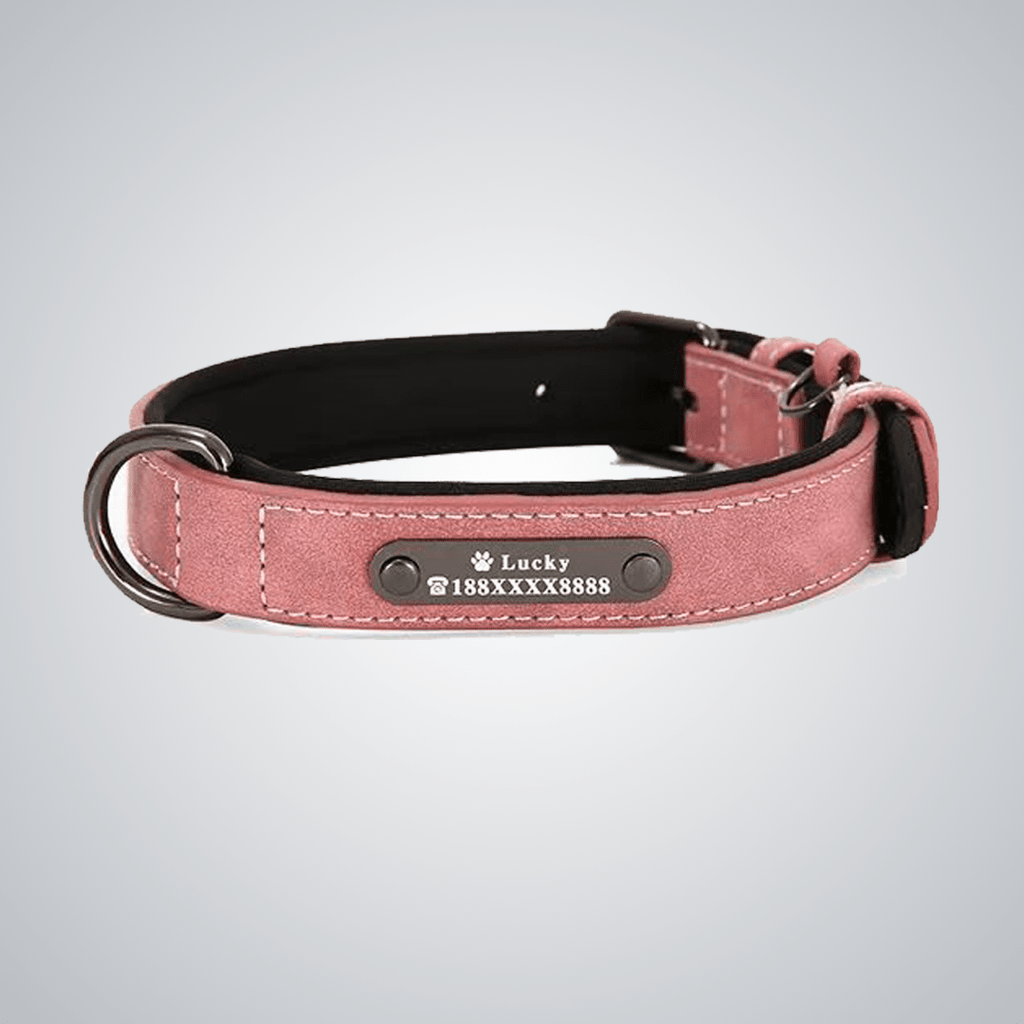 Custom reflective pet collars - lumipup