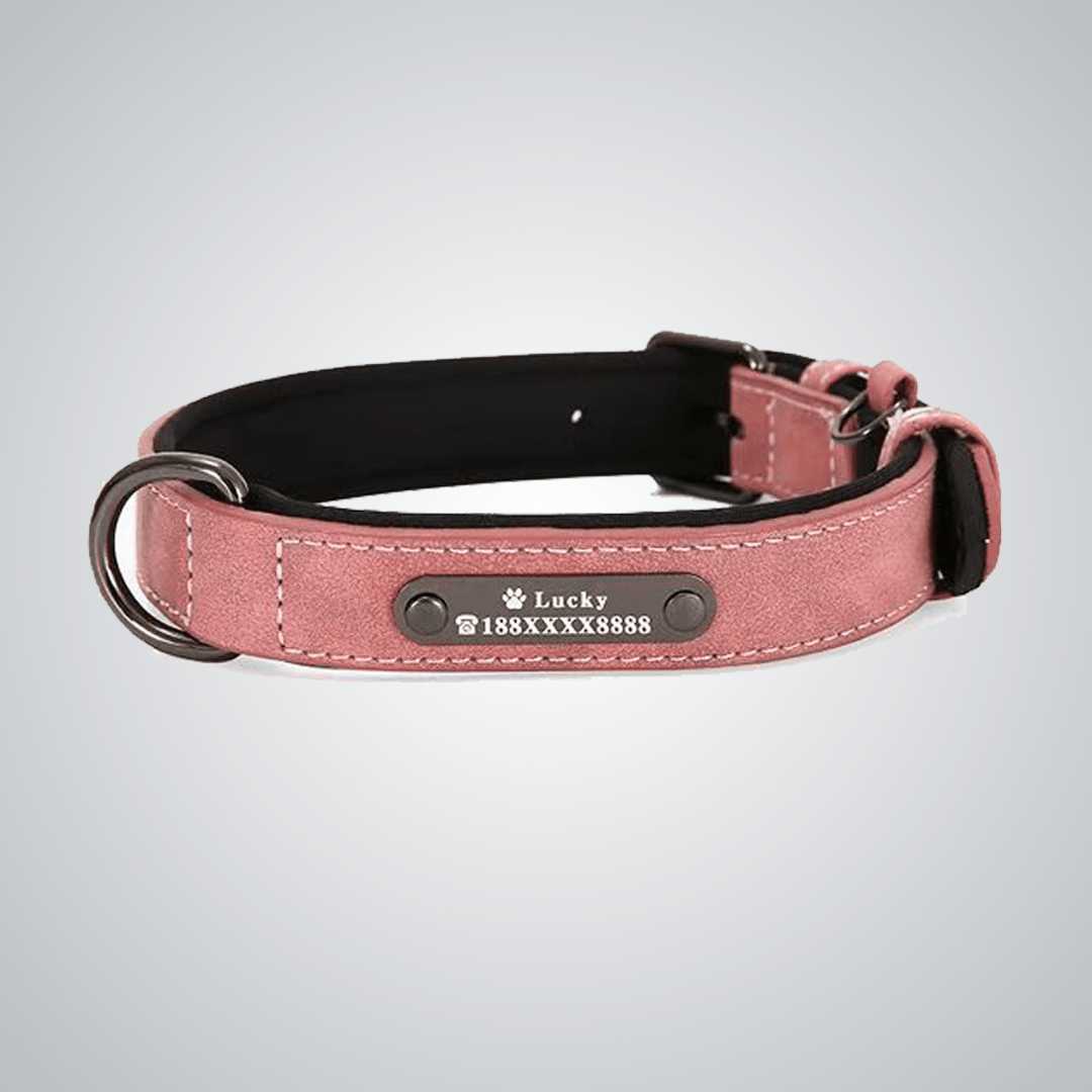 Custom reflective pet collars - lumipup