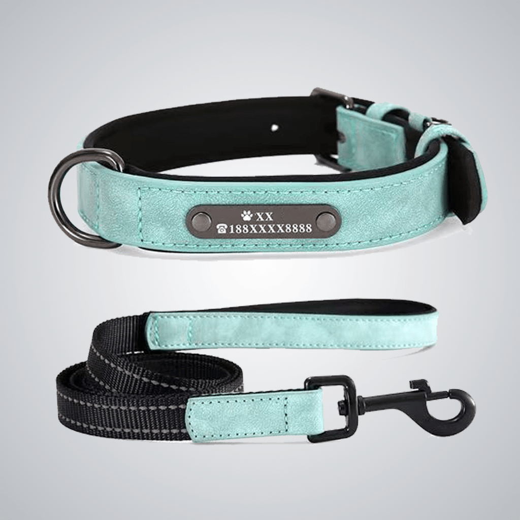 Custom reflective pet collars - lumipup