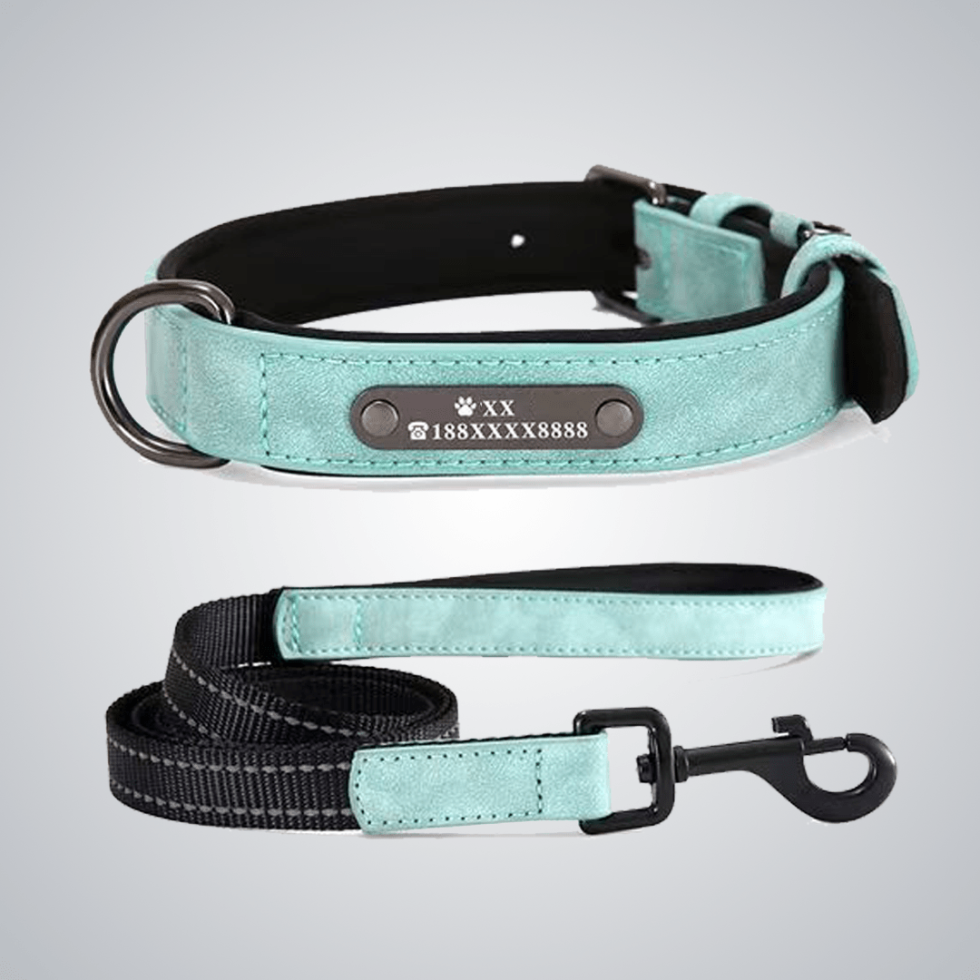Custom reflective pet collars - lumipup