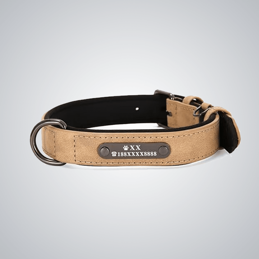Custom reflective pet collars - lumipup