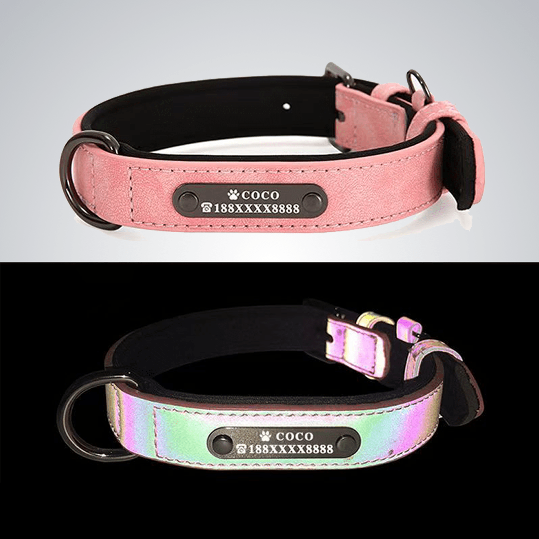 Custom reflective pet collars - lumipup