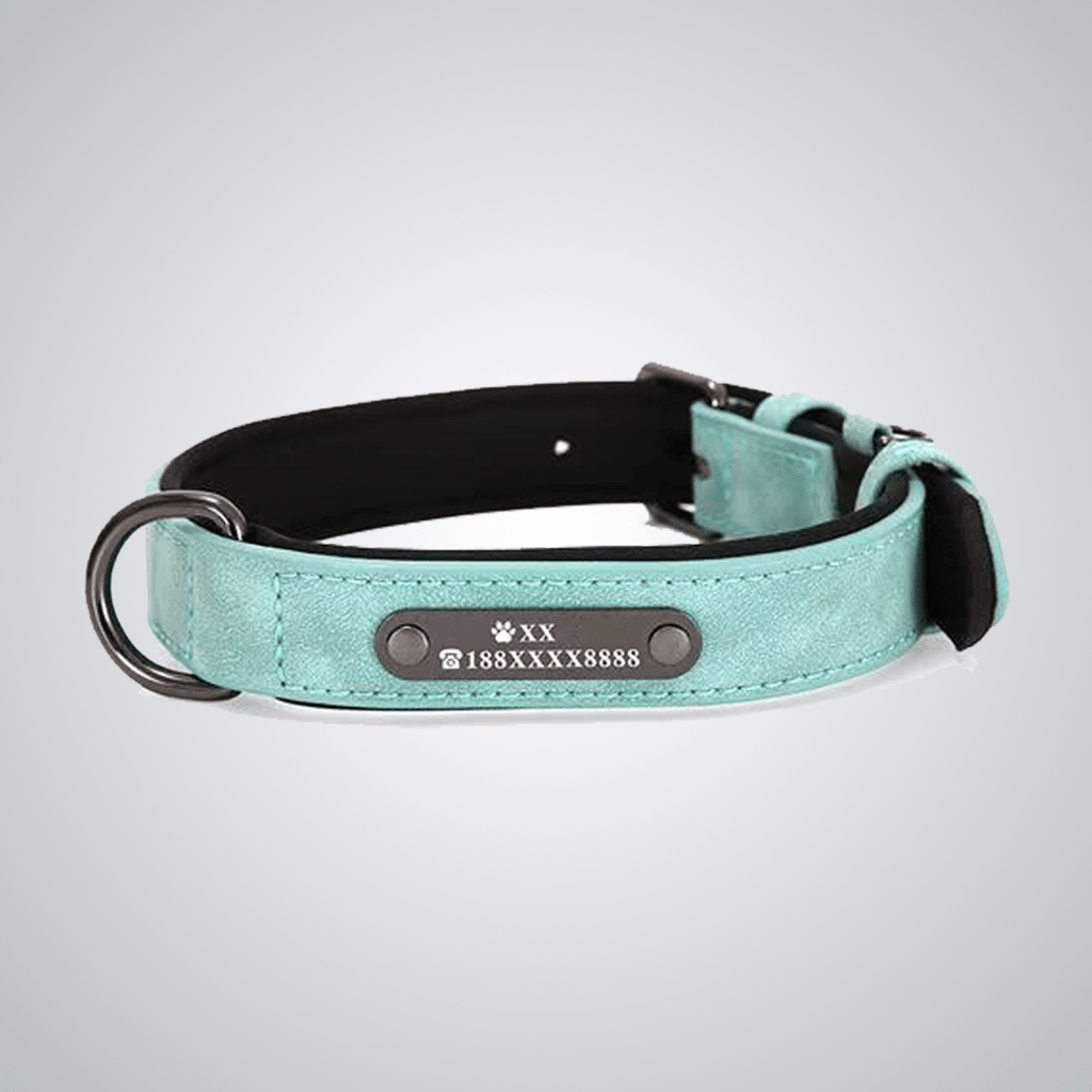 Custom reflective pet collars - lumipup