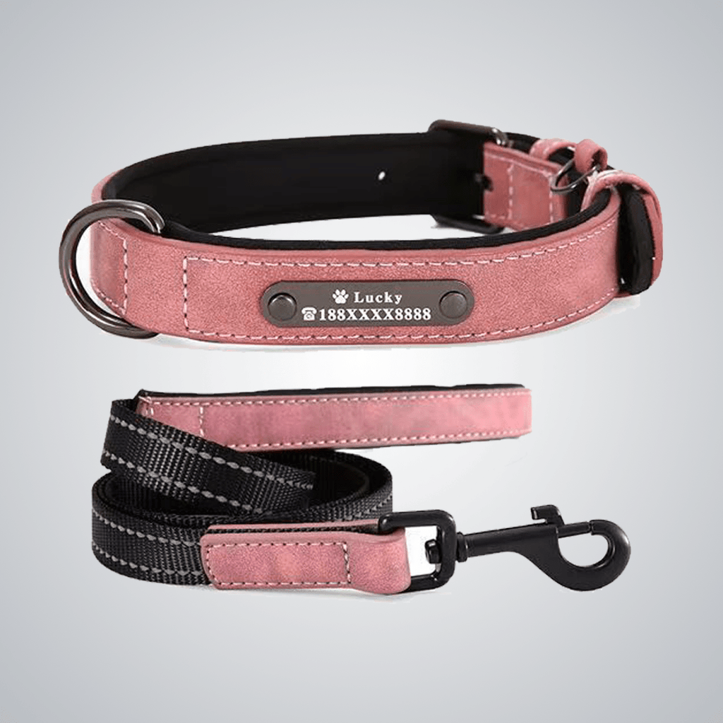 Custom reflective pet collars - lumipup