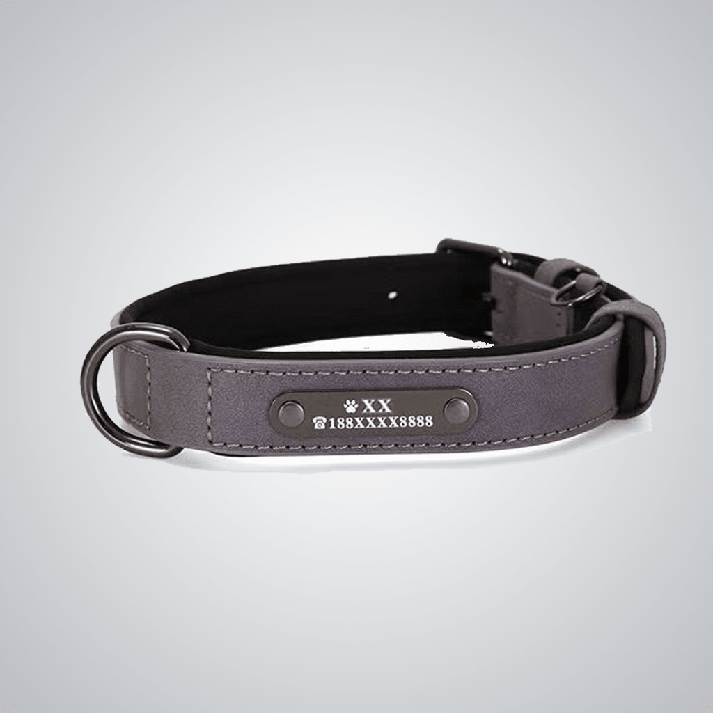 Custom reflective pet collars - lumipup