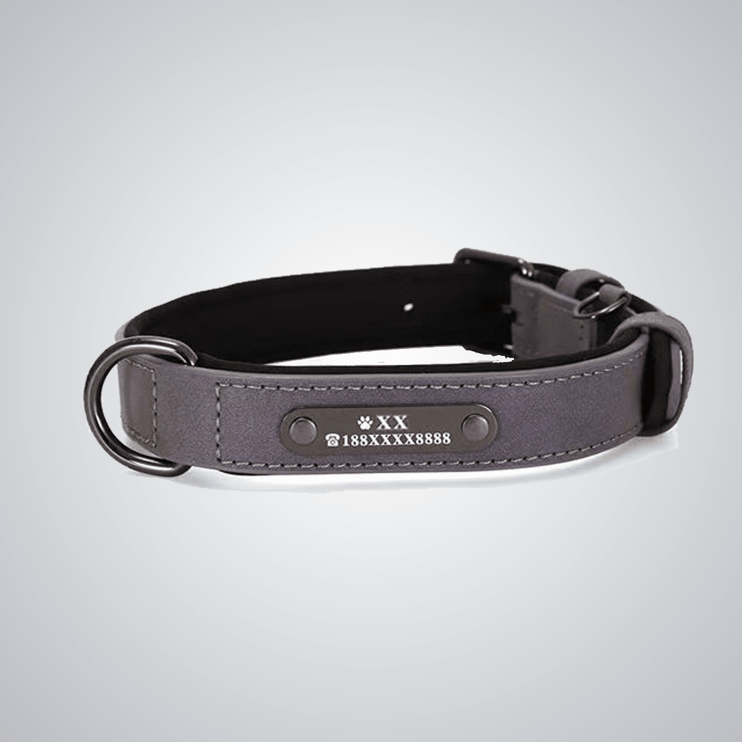 Custom reflective pet collars - lumipup