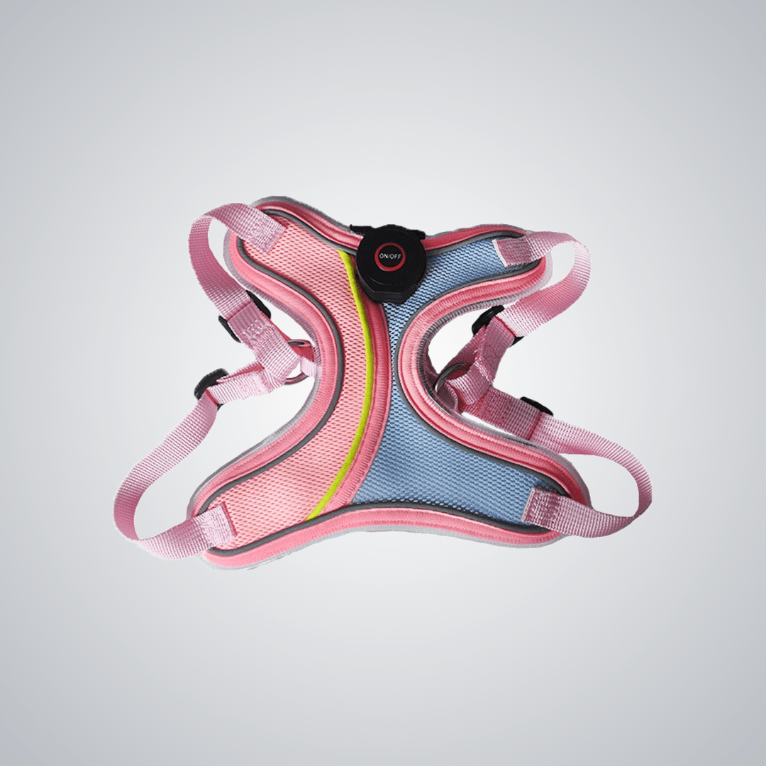 ED - lit pet harness - lumipup