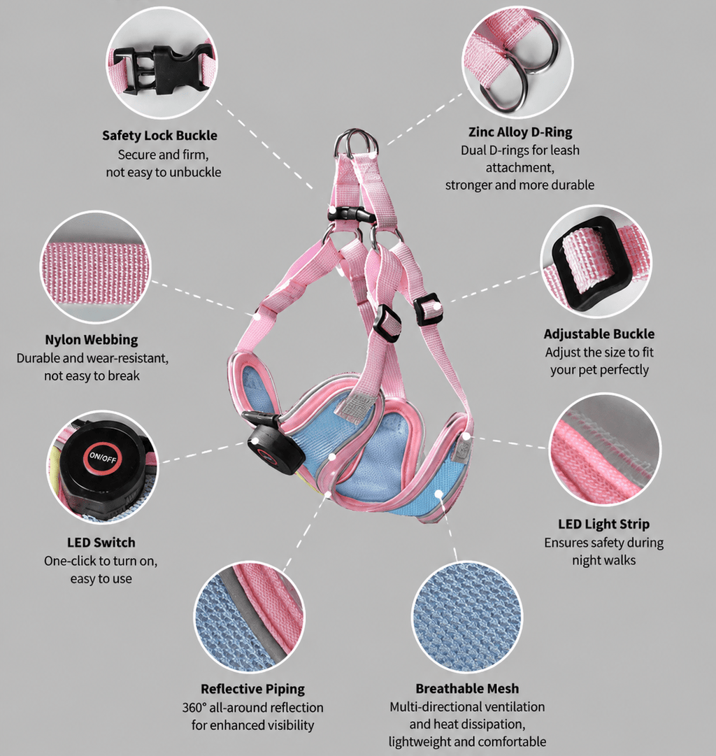 ED - lit pet harness - lumipup